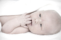 Watson Newborn Photos