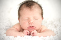 Tomlinson Newborn Photos